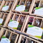 Kit de bienvenida nuevo apartamento