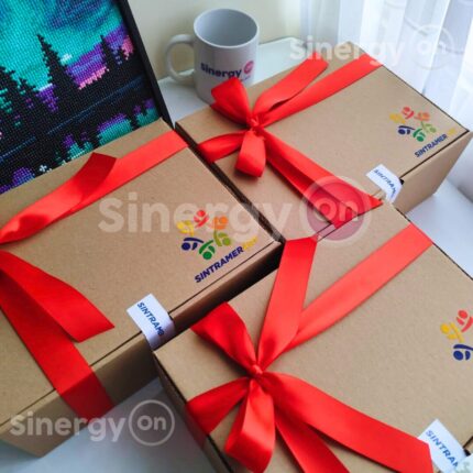 Kit de regalo empresarial personalizado SINTRAMERART